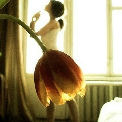 Эльмира Агадилова, Костанай, Казахстан | ВКонтакте