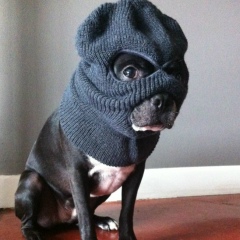 Женя Женя | ВКонтакте