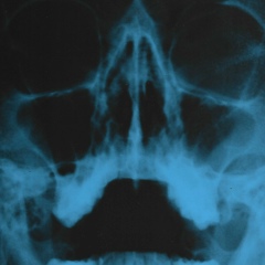 Павел Пугин, Москва, Россия | ВКонтакте