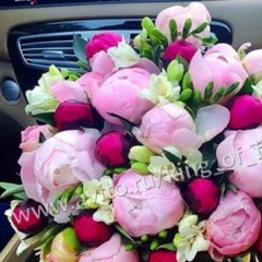 Дарина , Сумы, Украина | ВКонтакте