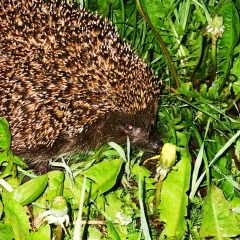Виктор Бобров, Санкт-Петербург, Россия | ВКонтакте
