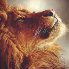 Олжас Зайргельдин, Астана, Казахстан | ВКонтакте