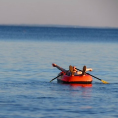 Александр Рябцев, Санкт-Петербург, Россия | ВКонтакте