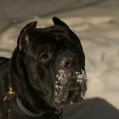 Саша Лымарев, Москва, Россия | ВКонтакте