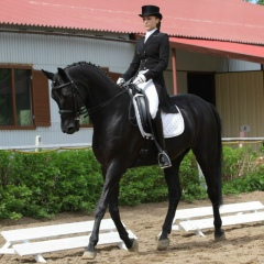 Поля Буга, Санкт-Петербург, Россия | ВКонтакте