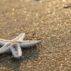 Наталья Лебедева, Санкт-Петербург, Россия | ВКонтакте