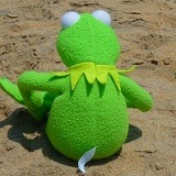 Александр Коломойцев, Львов, Украина | ВКонтакте