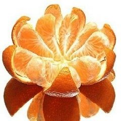 Алина Бизяева, Екатеринбург, Россия | ВКонтакте