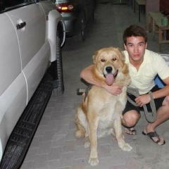 Chingis Taneke, Алматы, Казахстан | ВКонтакте