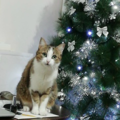 Dana Dailidko, Lublin, Польша | ВКонтакте